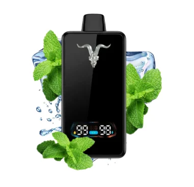 Ignite V300 Ultra Slim – 30000 Puffs – Icy Mint