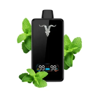 Ignite V300 Ultra Slim – 30000 Puffs – Menthol