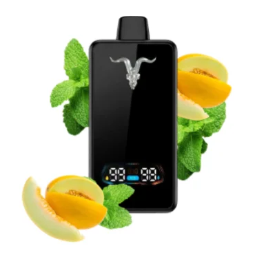 Ignite V300 Ultra Slim – 30000 Puffs – Minty Melon